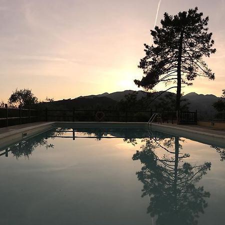Agriturismo Il Pino San Martino in Freddana エクステリア 写真