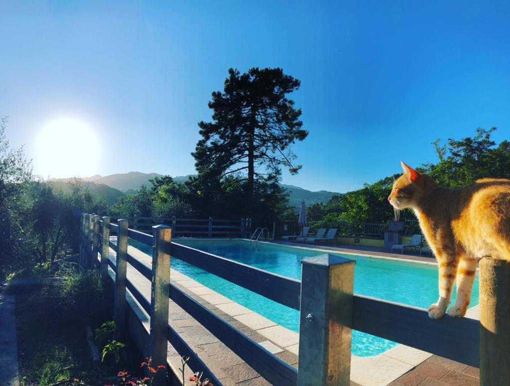 Agriturismo Il Pino San Martino in Freddana エクステリア 写真