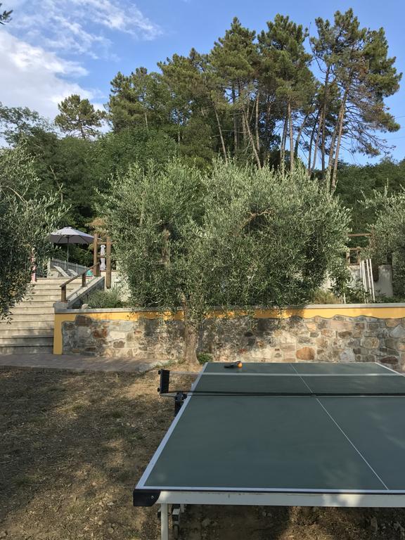 Agriturismo Il Pino San Martino in Freddana エクステリア 写真
