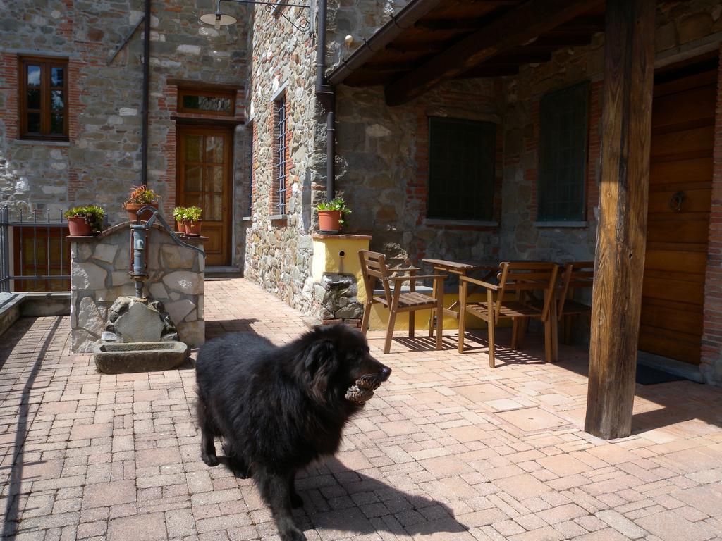 Agriturismo Il Pino San Martino in Freddana エクステリア 写真