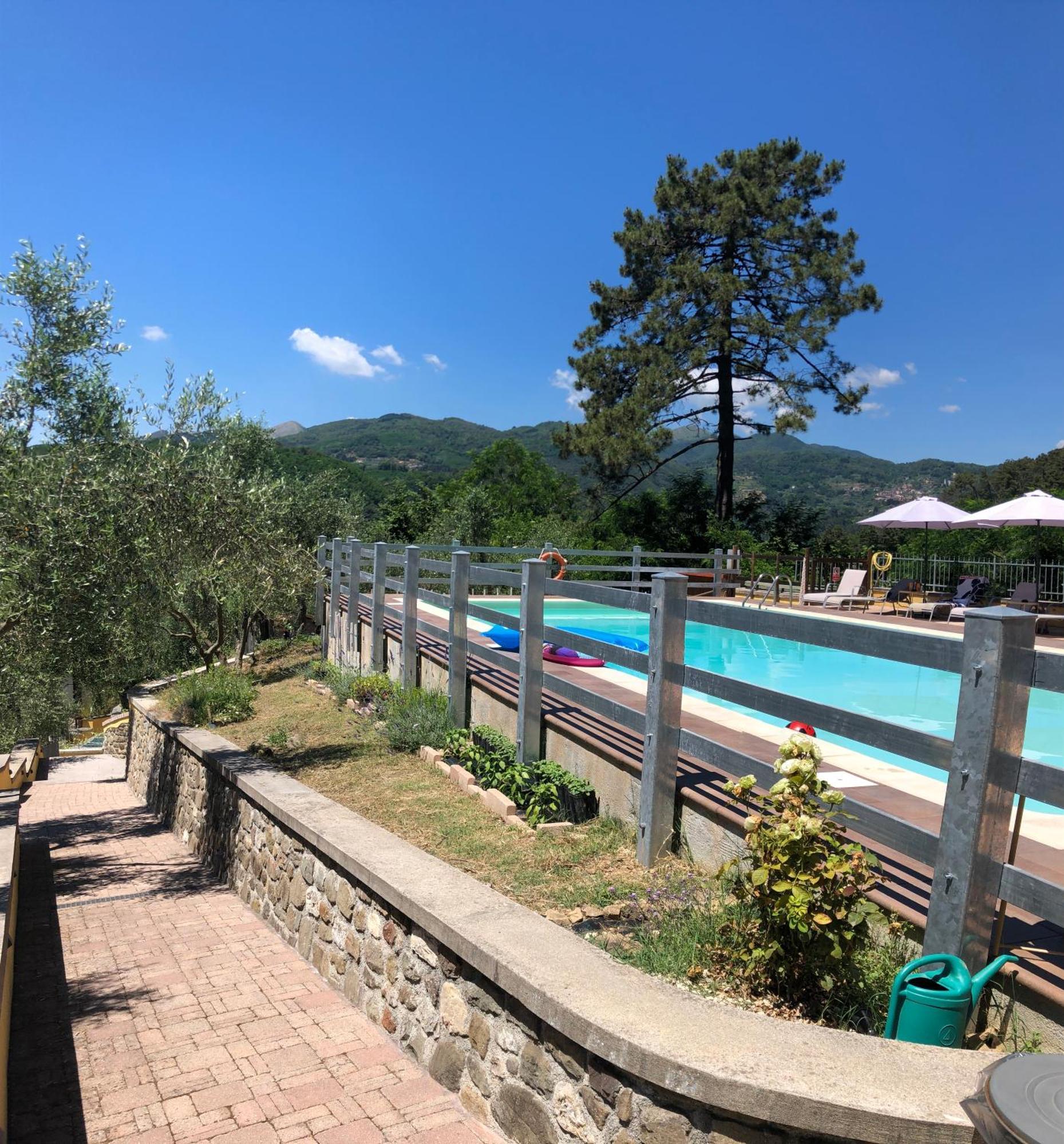 Agriturismo Il Pino San Martino in Freddana エクステリア 写真